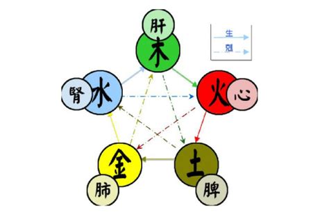 火 五行|五行（对万事万物的取象比类）